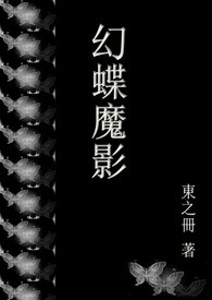 幻蝶魔法套装出货过程